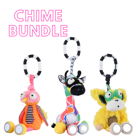 Chime & See Activity Toy Bundle