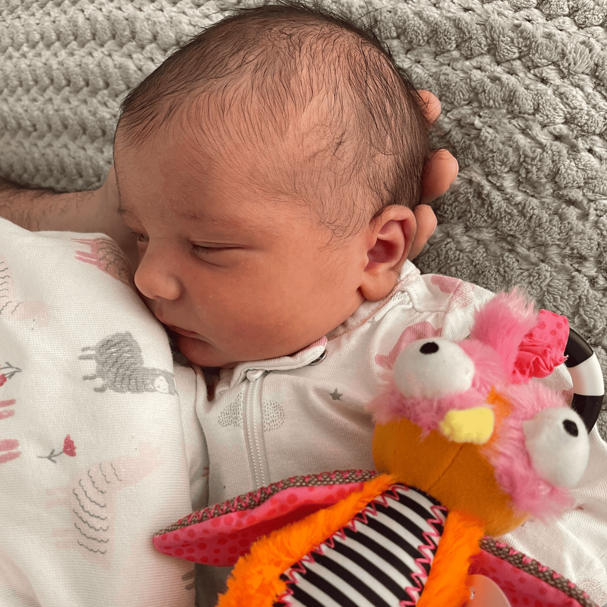 Ollie the Oddball Oddbird Chime & See Atachable Hanging Activity Toy - Inklings Baby